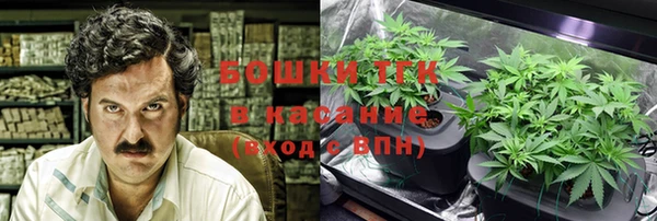 мяу мяу мука Аркадак