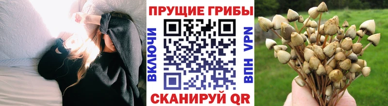 где найти наркотики  Советский  Псилоцибиновые грибы MAGIC MUSHROOMS 